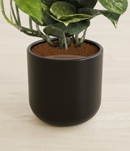 Load image into Gallery viewer, Stone Black stand:all