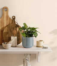 Load image into Gallery viewer, Misty Blue