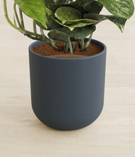 Load image into Gallery viewer, Iron Gray stand:all