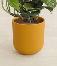 Load image into Gallery viewer, Sunset Orange stand:all