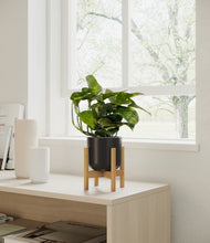 Load image into Gallery viewer, Stone Black stand:all