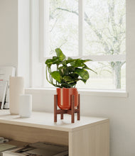 Load image into Gallery viewer, Glossy Red stand:walnut