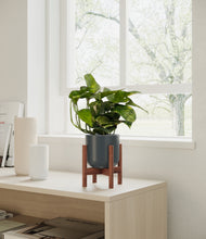Load image into Gallery viewer, Iron Gray stand:walnut
