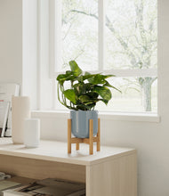 Load image into Gallery viewer, Misty Blue stand:all