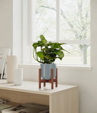 Load image into Gallery viewer, Misty Blue stand:walnut