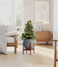 Load image into Gallery viewer, Sage Green stand:walnut