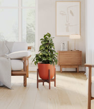 Load image into Gallery viewer, Earth Red stand:walnut