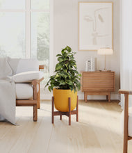 Load image into Gallery viewer, Sunset Orange stand:walnut