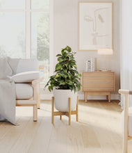 Load image into Gallery viewer, Natural Bamboo stand:bamboo