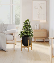 Load image into Gallery viewer, Stone Black stand:bamboo