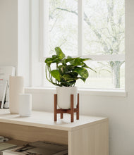 Load image into Gallery viewer, Natural Bamboo stand:walnut