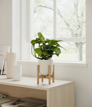 Load image into Gallery viewer, Natural Bamboo stand:bamboo