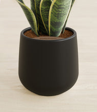 Load image into Gallery viewer, Black stand:all