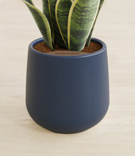 Load image into Gallery viewer, Deep Navy stand:all