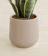 Load image into Gallery viewer, Eternal Gray stand:all