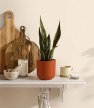 Load image into Gallery viewer, Earth Red