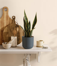 Load image into Gallery viewer, Iron Gray