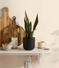 Load image into Gallery viewer, Stone Black