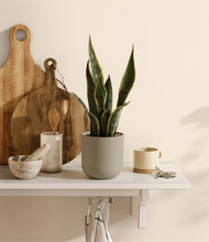 Load image into Gallery viewer, Sage Green