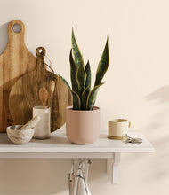 Load image into Gallery viewer, Sandy Pink