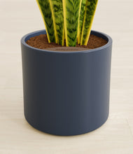 Load image into Gallery viewer, Deep Navy stand:all