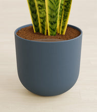 Load image into Gallery viewer, Iron Gray stand:all