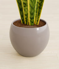 Load image into Gallery viewer, Winter Clouds stand:all