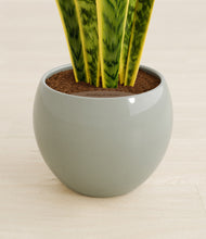 Load image into Gallery viewer, Deep Ocean stand:all