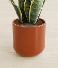 Load image into Gallery viewer, Earth Red stand:all