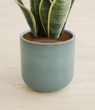 Load image into Gallery viewer, Reactive Aqua stand:all