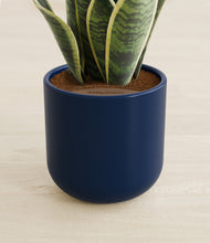 Load image into Gallery viewer, Twilight Blue stand:all