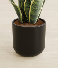 Load image into Gallery viewer, Stone Black stand:all