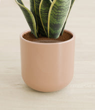 Load image into Gallery viewer, Glossy Pink stand:all