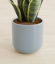 Load image into Gallery viewer, Misty Blue stand:all