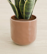 Load image into Gallery viewer, Hammered Peach Pink stand:all