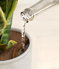 Load image into Gallery viewer, Hammered Ivory stand:all