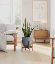 Load image into Gallery viewer, Iron Gray stand:walnut