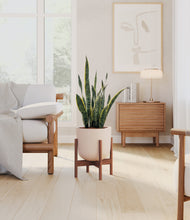 Load image into Gallery viewer, Sandy Pink stand:walnut