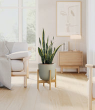 Load image into Gallery viewer, Sage Green stand:bamboo