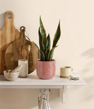 Load image into Gallery viewer, Hammered Rose Pink