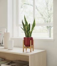 Load image into Gallery viewer, Striped Cherry Red stand:bamboo