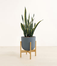 Load image into Gallery viewer, Iron Gray stand:bamboo