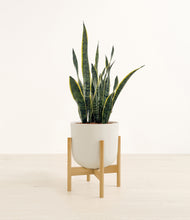 Load image into Gallery viewer, Natural Bamboo stand:bamboo