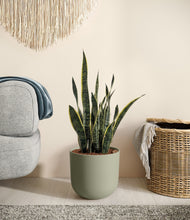 Load image into Gallery viewer, Sage Green