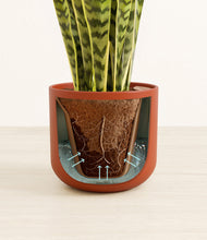 Load image into Gallery viewer, Earth Red