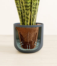 Load image into Gallery viewer, Iron Gray stand:all