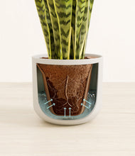 Load image into Gallery viewer, Natural Bamboo stand:all