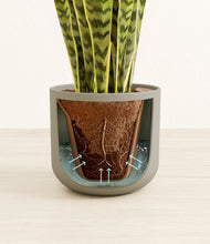 Load image into Gallery viewer, Sage Green