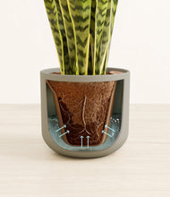 Load image into Gallery viewer, Sage Green stand:all