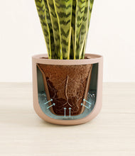 Load image into Gallery viewer, Sandy Pink stand:all